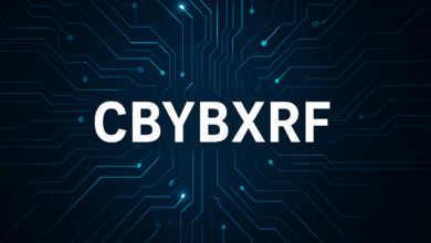 CBYBXRF
