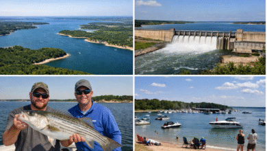 lake texoma should be capitalized