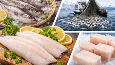 Alaskan Seiti Overview