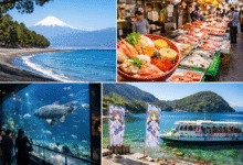 Highlights of Nummazaki